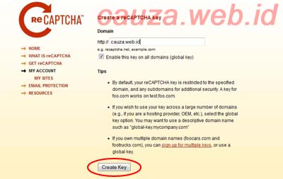 recapcha-web